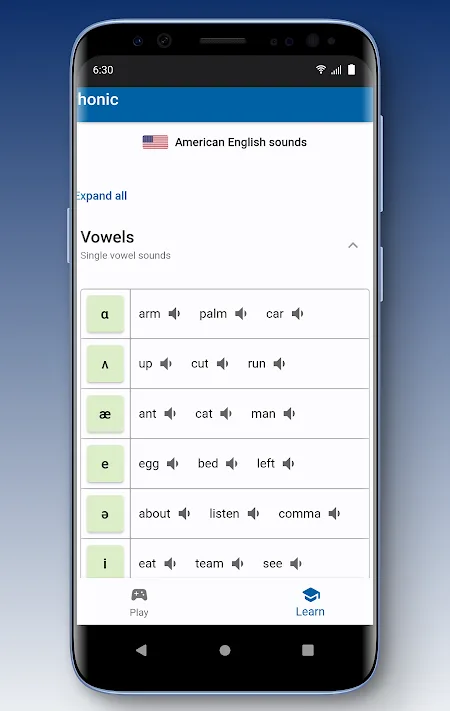 Phonic sounds library listing vowels with example words and audio buttons